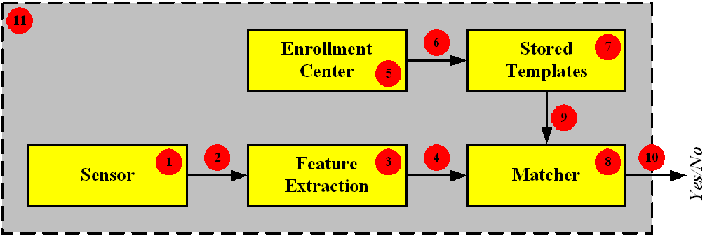 Liveness fault