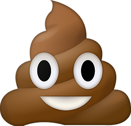 Shitcoin