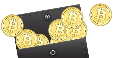 software wallet